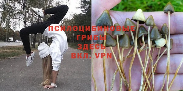 mdpv Балахна