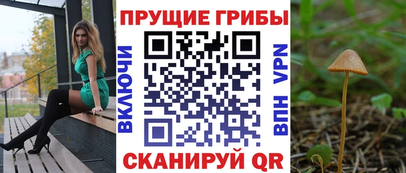 Псилоцибиновые грибы Psilocybe  где купить наркотик  Балабаново 