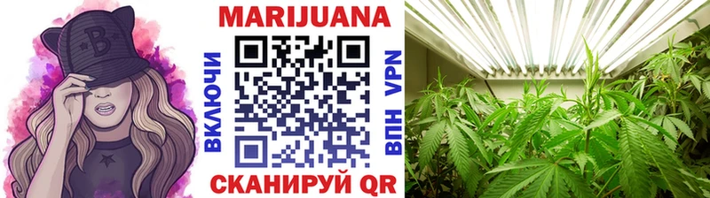 МАРИХУАНА сатива  купить   Балабаново 
